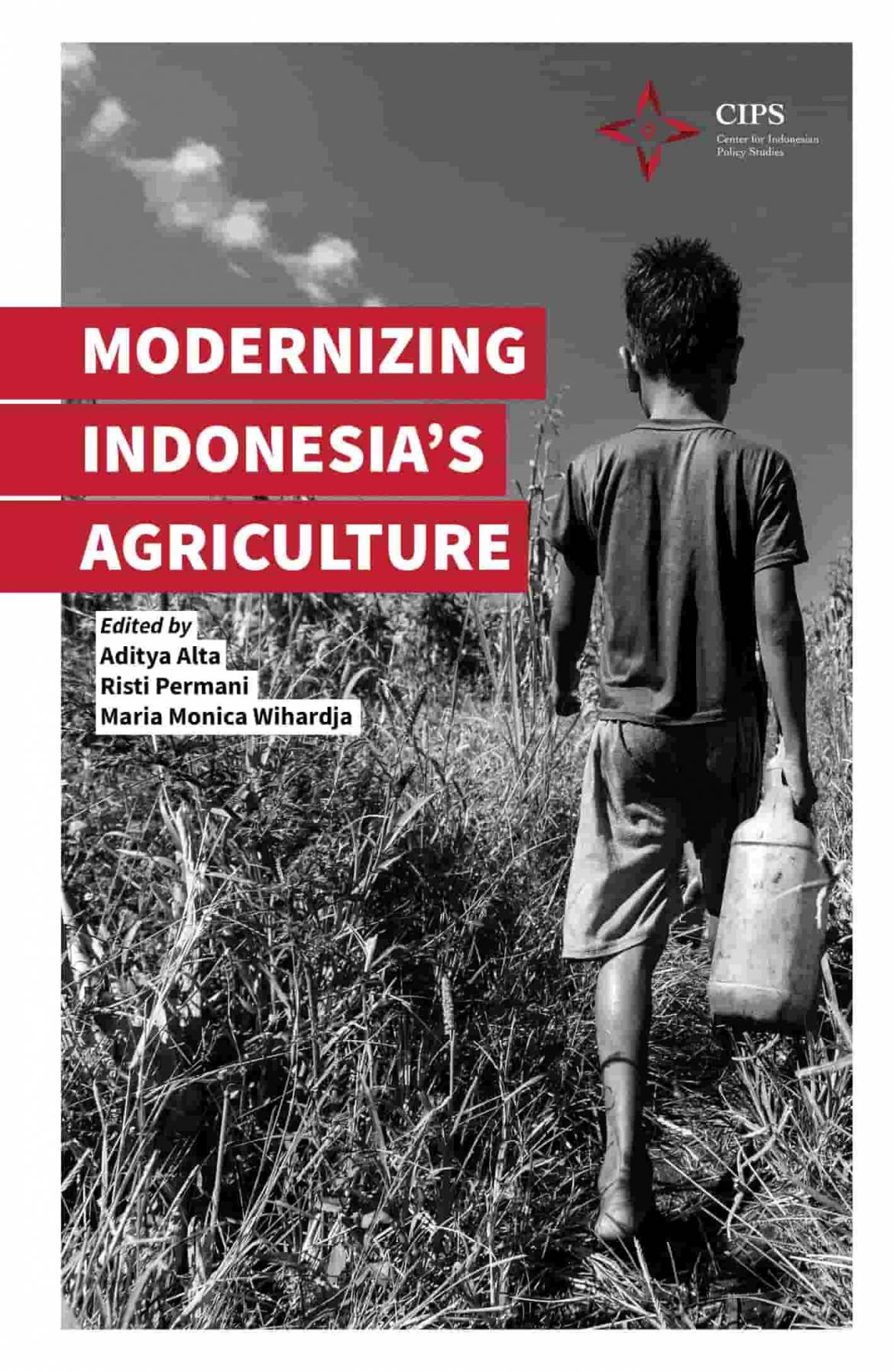 Co-DEPAN-modernizing-hard-cover-ops-3-rev-gambar.jpg